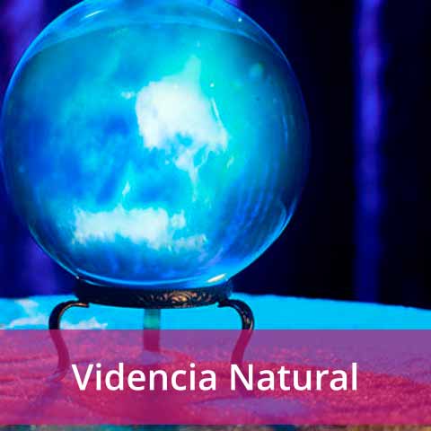 Videncia